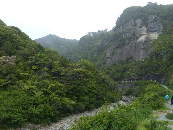 A valley on the coastal road just north of Greymouth, Nov 2015
